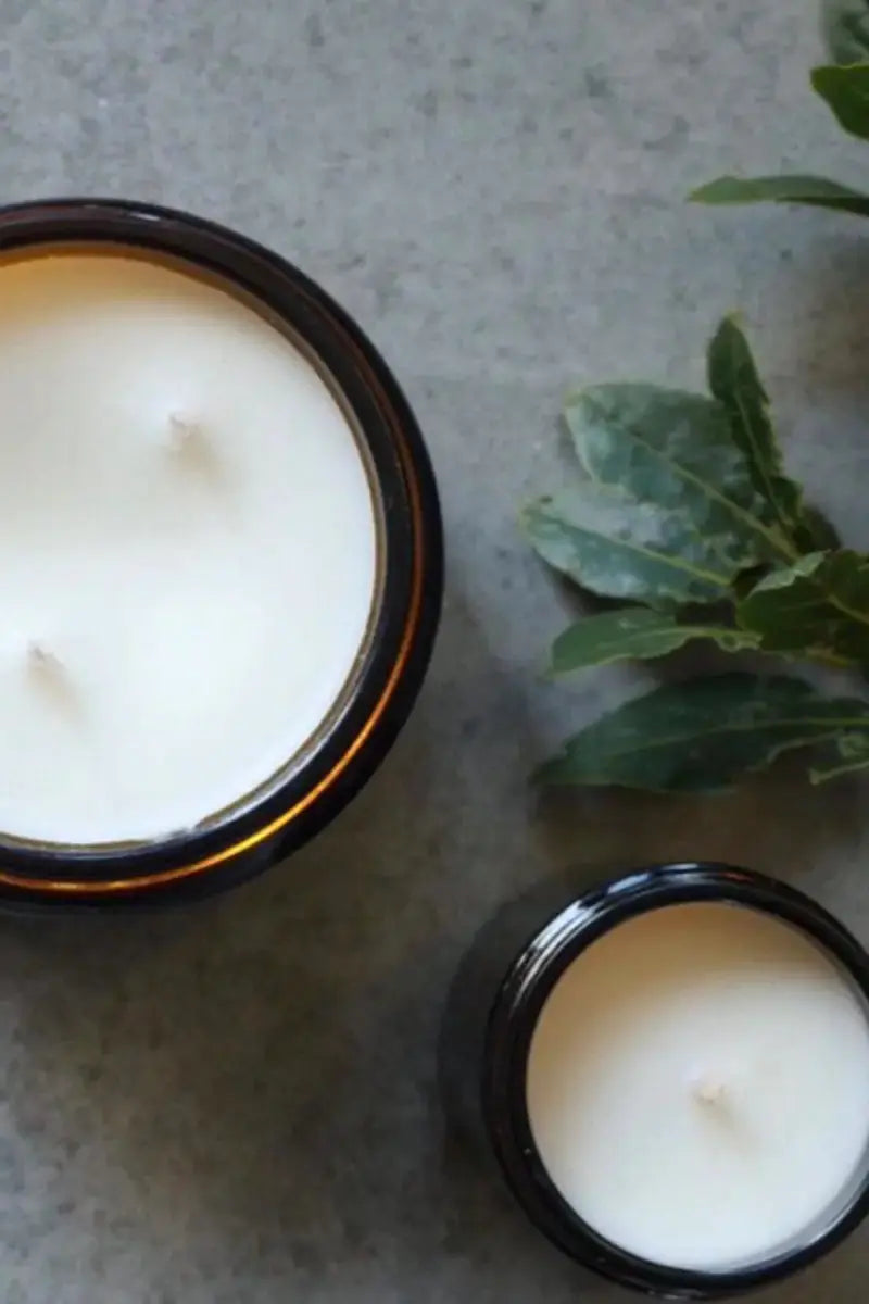 Scented Candle by Mabel + Meg in Tassie Shore Classic arial view of both classic and XL sizes