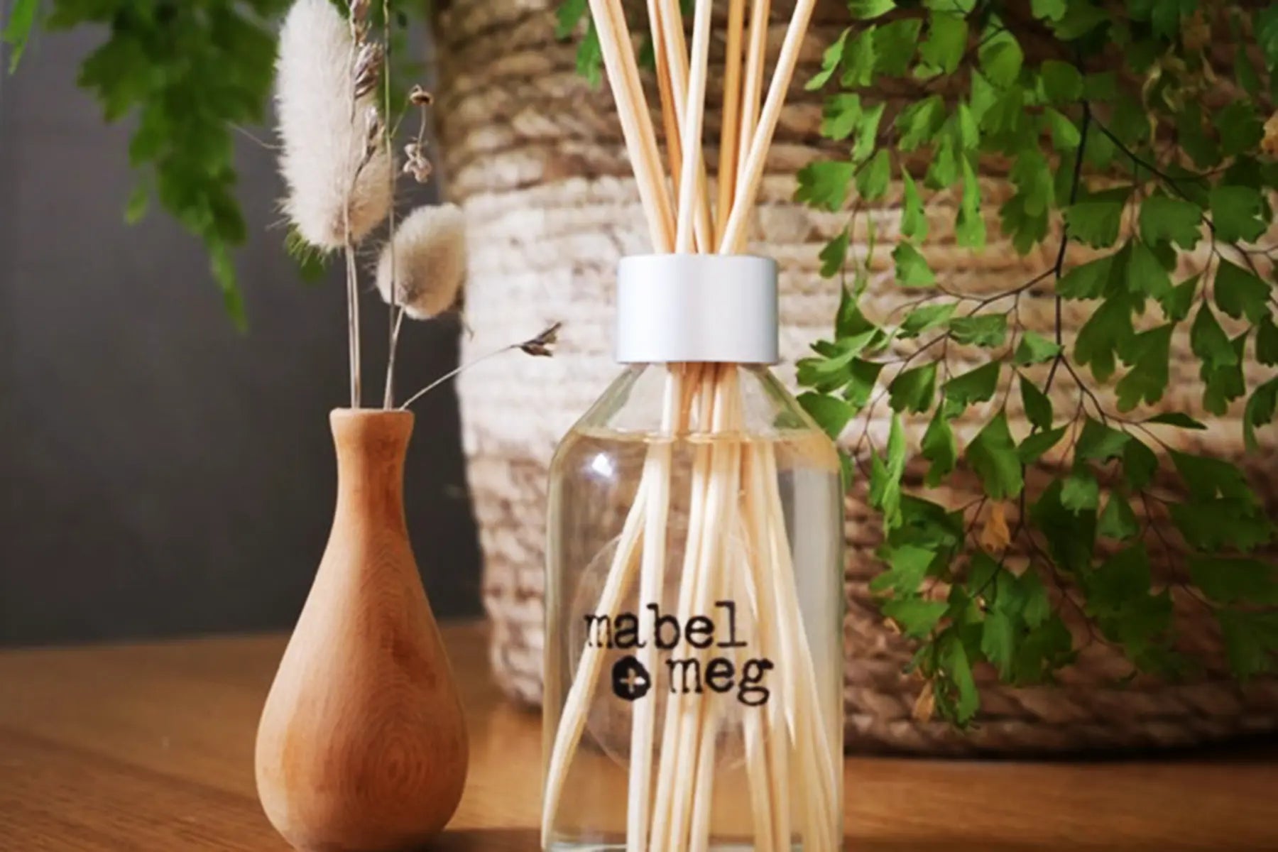 Mabel + Meg Reed diffuser sitting on table near a pot plant